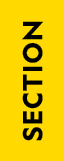 Section