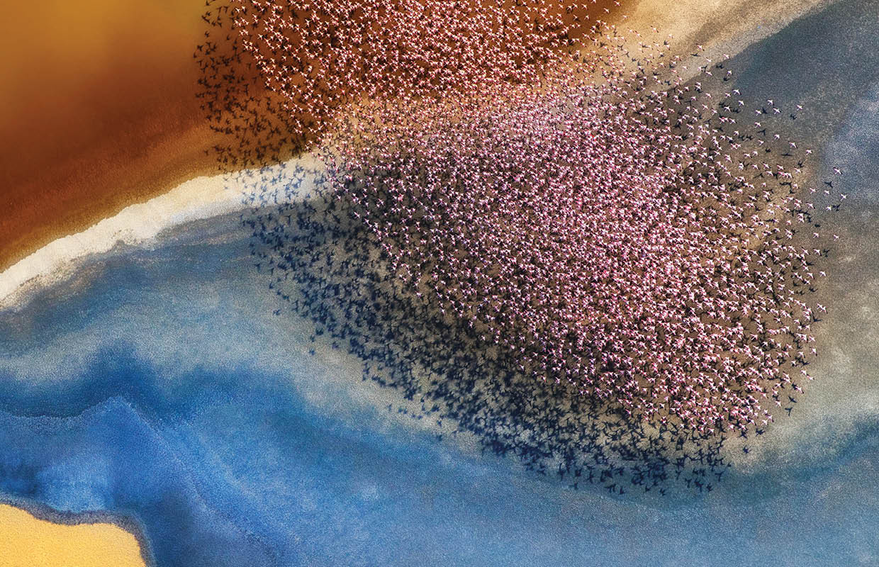 Tanzania  While flying in a helicopter over Tanzania's Lake Natron, Phillip Chang photographed this flock of flamingos against the last rays of sunlight 