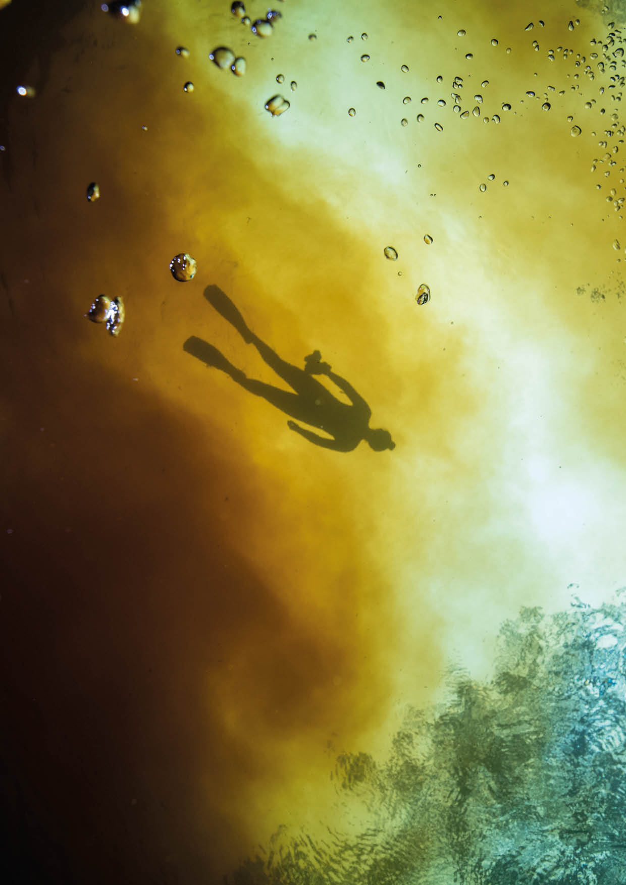 A swimmer is silhouetted overhead as clear spring water mixes with tannic river water   Location: High Springs, Ginnie Springs, Florida, USA Photographer: Jennifer Adler
