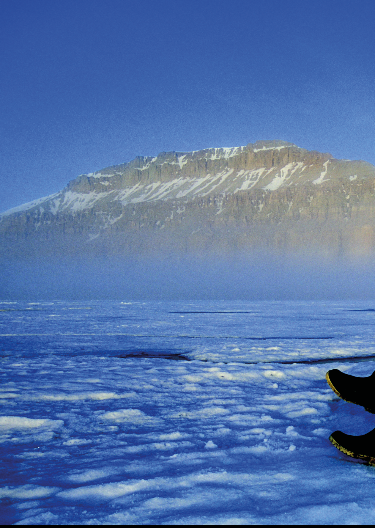 Japanese man dressed in Inuit clothing using a laptop computer 