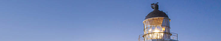 animation_worldenglish