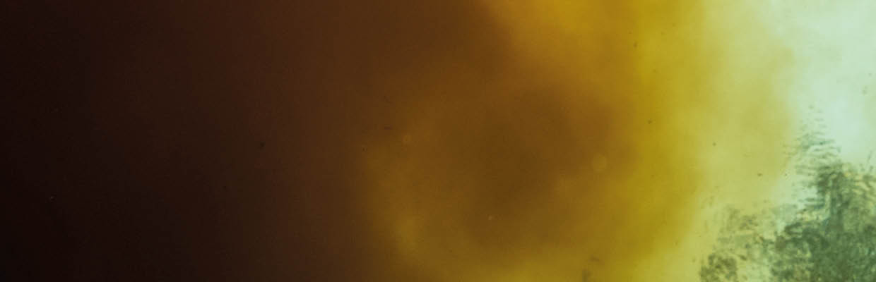 A swimmer is silhouetted overhead as clear spring water mixes with tannic river water   Location: High Springs, Ginnie Springs, Florida, USA Photographer: Jennifer Adler