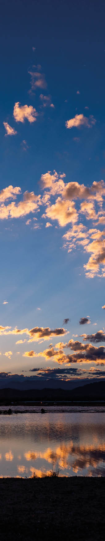 A woman runs along a lake reflecting the sunset   Location: Joshua Tree, Sunfair dry lake bed, California, USA Photographer: Ben Horton