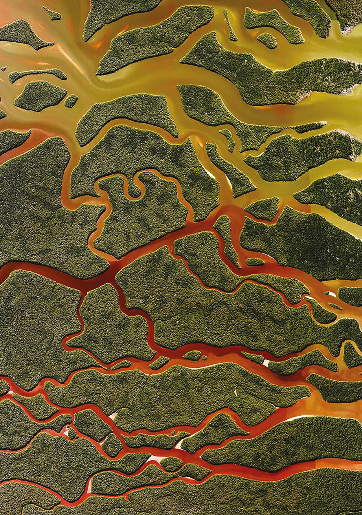 Everglades National Park in Florida is the largest tropical wilderness in the United States east of the Mississippi River, covering more than 1.5 million acres. The park was established in 1934 to protect the area‚ a fragile ecosystem home to 36 threatened or protected species including the American crocodile and West Indian manatee.