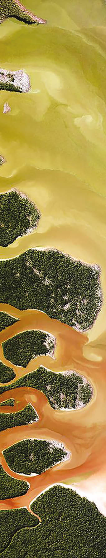 Everglades National Park in Florida is the largest tropical wilderness in the United States east of the Mississippi River, covering more than 1.5 million acres. The park was established in 1934 to protect the area‚ a fragile ecosystem home to 36 threatened or protected species including the American crocodile and West Indian manatee.