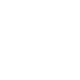 81
