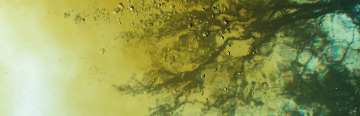 A swimmer is silhouetted overhead as clear spring water mixes with tannic river water. Location: High Springs, Ginnie Springs, Florida, USA Photographer: Jennifer Adler
