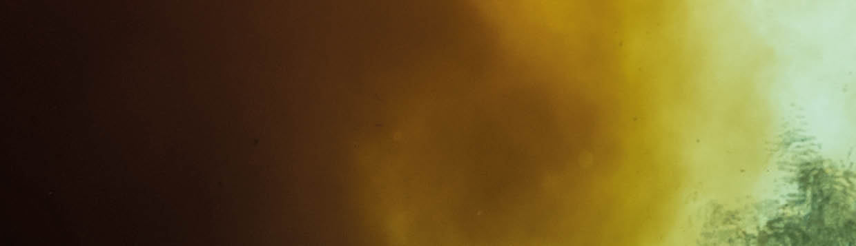 A swimmer is silhouetted overhead as clear spring water mixes with tannic river water. Location: High Springs, Ginnie Springs, Florida, USA Photographer: Jennifer Adler