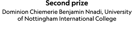 Second prize Dominion Chiemerie Benjamin Nnadi, University of Nottingham International College 