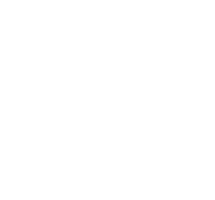 Ayat Boudjema University of Essex International College 