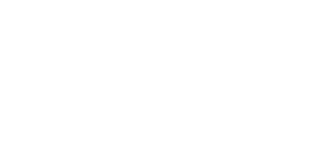 WORLD LINK