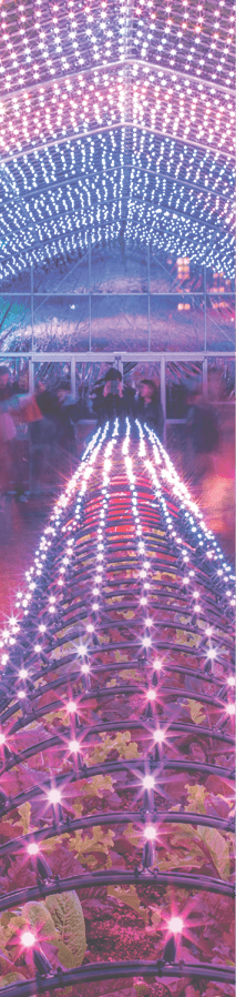 Trey Ratcliff - StuckInCustoms.com - Creative Commons Noncommercial contact licensing@stuckincustoms.com