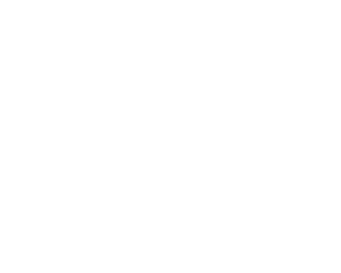 ACADEMIC LANGUAGE, LITERACY, AND CONTENT FOR AN EDUCATION IN ENGLISH
