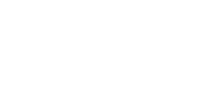 Ability to work with new information to solve problems and influence others 