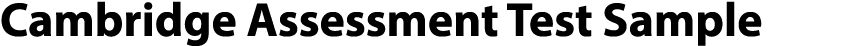 Cambridge Assessment Test Sample