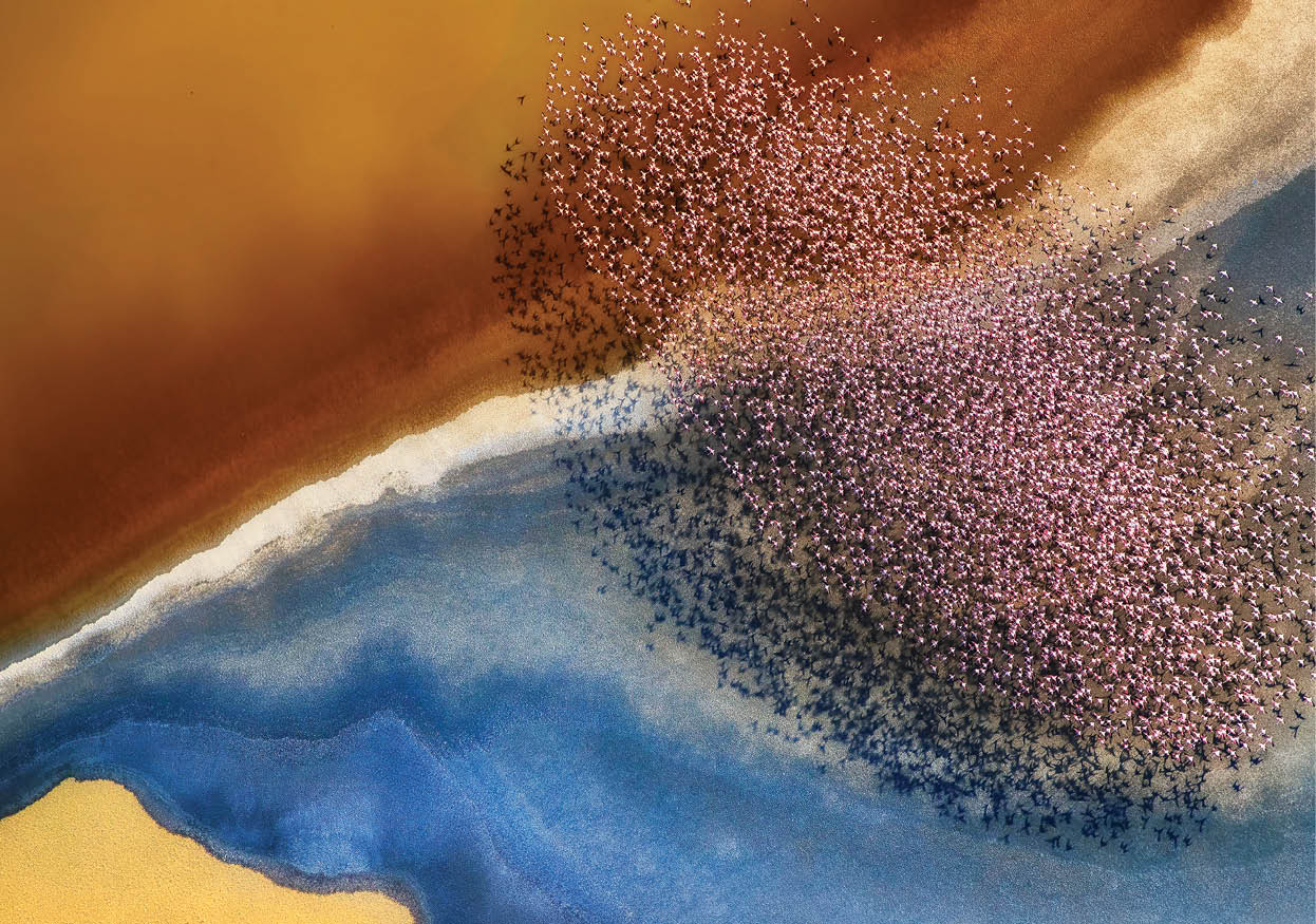 A flock of pink flamingos fly over an incredibly colourful landscape created by mineral rich soil which changes colour depending on the angle of light.  Professional photographer, Phillip Chang, 61, captured this stunning picture whilst flying over the Natron Lake in Tanzania.  Phillip, who was photographing the landscape itself, was suprised by the appeareance of the birds.  He said,  “The birds formed amazing shapes that you cannot see from below."  Please byline: Phillip Chang/Solent News  © Phillip Chang/Solent News & Photo Agency UK +44 (0) 2380 458800 