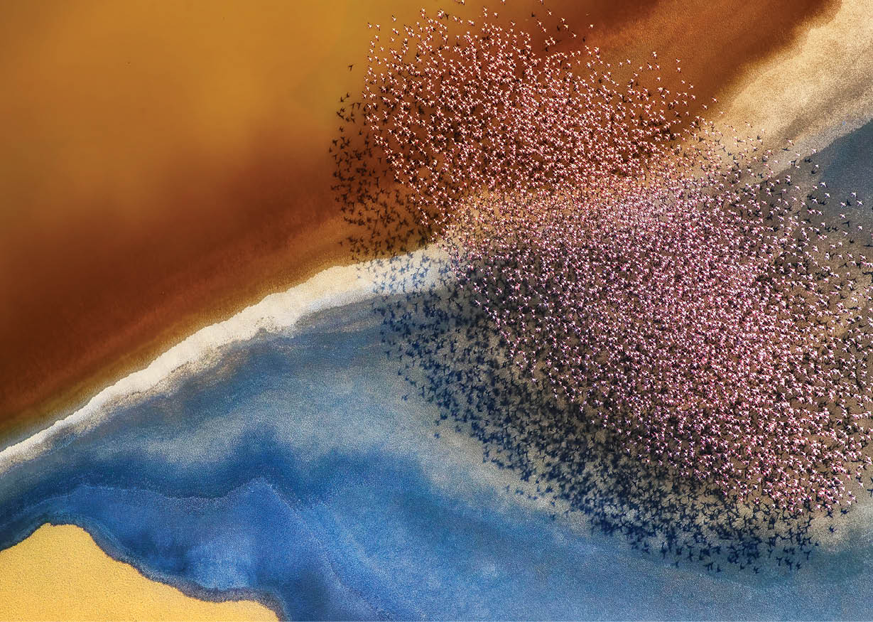 A flock of pink flamingos fly over an incredibly colourful landscape created by mineral rich soil which changes colour depending on the angle of light.  Professional photographer, Phillip Chang, 61, captured this stunning picture whilst flying over the Natron Lake in Tanzania.  Phillip, who was photographing the landscape itself, was suprised by the appeareance of the birds.  He said,  “The birds formed amazing shapes that you cannot see from below."  Please byline: Phillip Chang/Solent News  © Phillip Chang/Solent News & Photo Agency UK +44 (0) 2380 458800 