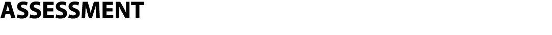 ASSESSMENT 