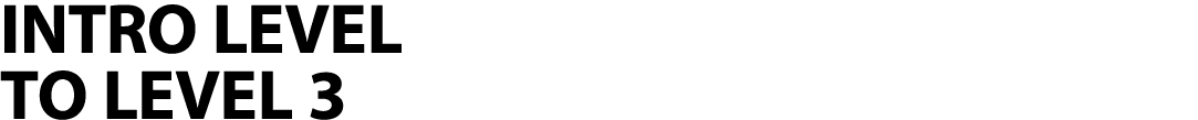 INTRO LEVEL TO LEVEL 3