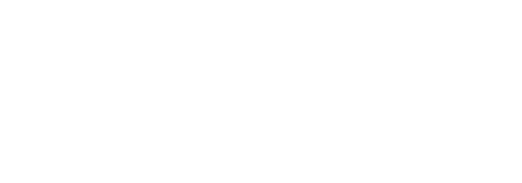 SEE SOMETHING REAL