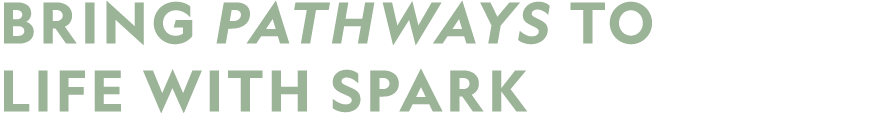 Bring PATHWAYS to life with Spark