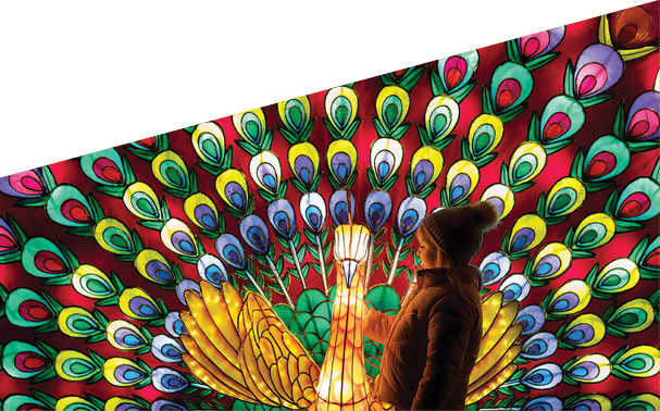 1/11/2017 Wild Lights Opens at Dublin Zoo Friday 3rd November – Sunday 7th January  Tickets available at DublinZoo.ie   This winter, Dublin Zoo is home to “Wild Lights”, a magical night-time event featuring giant colourful lanterns and illuminated sculptures, inspired by wildlife. The event is open to the public from tomorrow, Friday 3rd November, until Sunday, 7th January and will run from 5pm – 9pm. Tickets are on sale now and must be booked in advance on DublinZoo.ie   Pictured at Wild Lights is Beth Healy.  Ends For more information, please contact: Siobh n Grogan / Joanne O’Sullivan / Cormac Coughlan Teneo PSG  M: 085 224 9485 / 086 156 6985 /086 414 4329 /  dublinzoo@Teneopsg.ie    ©Patrick Bolger