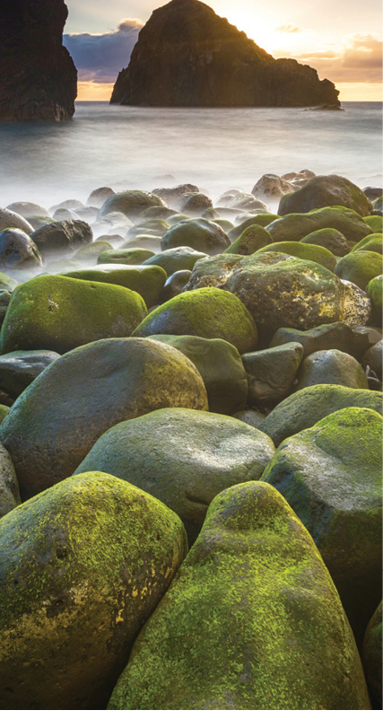 Green stones beach and giant rocks in the ocean at sunrise