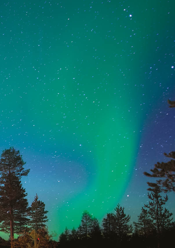 500px Photo ID: 14974339 - 