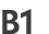 B1