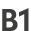 B1