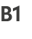 B1