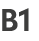 B1