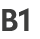 B1