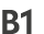 B1