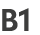 B1