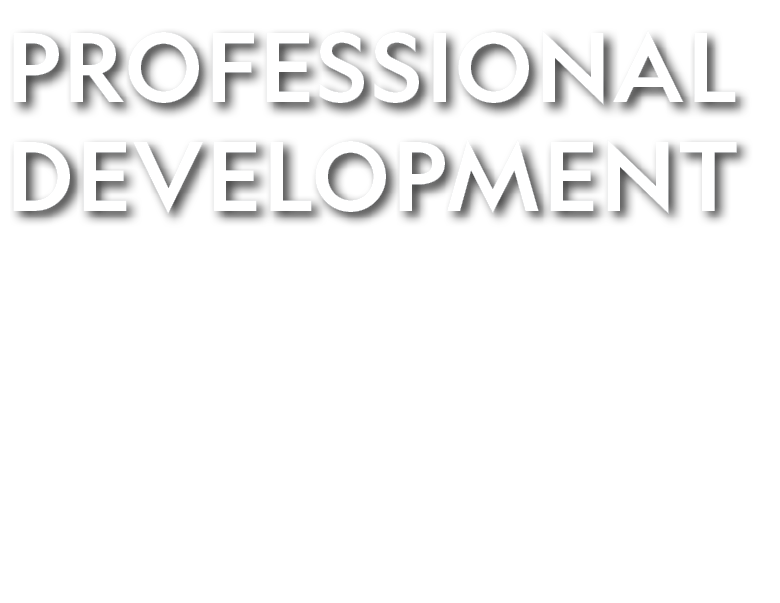 PROFESSIONAL DEVELOPMENT