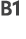 B1