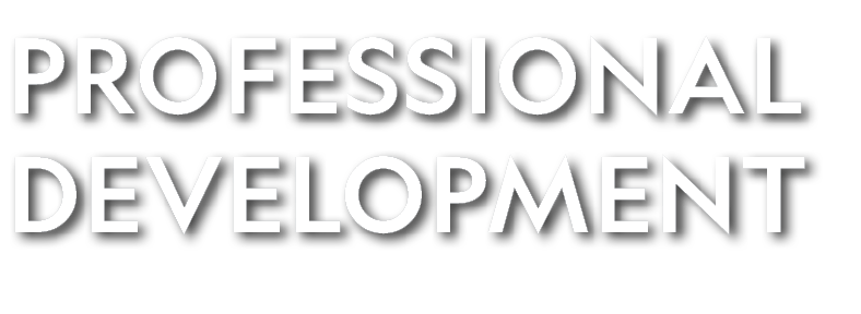 PROFESSIONAL DEVELOPMENT