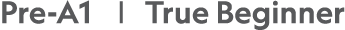 Pre-A1     True Beginner