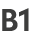 B1
