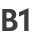 B1