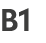 B1