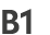 B1