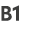 B1