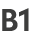 B1