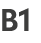 B1