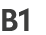 B1