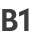 B1
