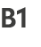 B1