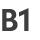 B1